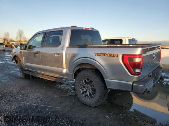 2023 Ford F-150 XL with VIN 1FTEW1E8XPFB14183, listed as a Copart auction lot 41438265 with 20,666 mi miles and Salvage Title. Bid and sale history available at carsss.com. Image 2.