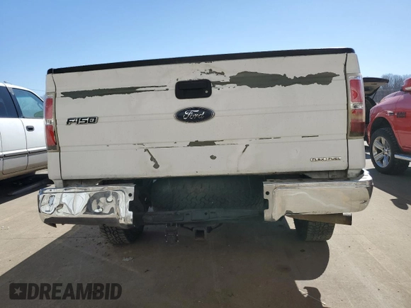 2013 Ford F-150 XL with VIN 1FTPF1CF5DKD70051, listed as a Copart auction lot 48748135 with 204,755 mi miles and Salvage title. Bid and sale history available at DreamBid. Image 6.