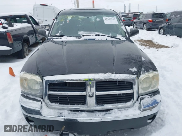 2005 Dodge Dakota SLT with VIN 1D7HW48N55S271727, listed as a IAAI auction lot 41249537 with 196,500 mi miles. Bid and sale history available at carsss.com. Image 12.
