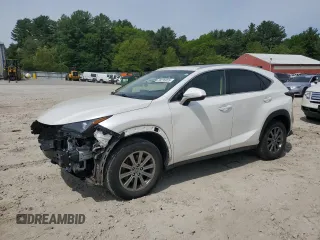 2019 Lexus NX 300 with VIN JTJBARBZ2K2179846, listed as a Copart auction lot 58236005 with 76,809 mi miles and Salvage title. Bid and sale history available at DreamBid. Image 1.