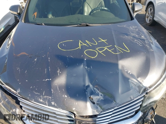 2017 Lincoln MKX Select with VIN 2LMPJ6KR6HBL33050, listed as a IAAI auction lot 41548295 with 38,490 mi miles. Bid and sale history available at carsss.com. Image 10.
