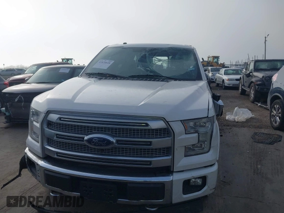 2017 Ford F-150 XL with VIN 1FTEW1EG4HFB21056, listed as a IAAI auction lot 41874618 with 135,601 mi miles. Bid and sale history available at carsss.com. Image 13.