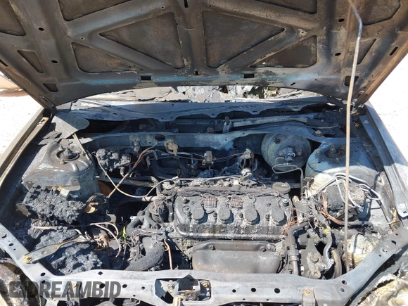 2003 Honda Civic EX with VIN 1HGES26753L005215, listed as a IAAI auction lot 42076026 with Not Provided miles and . Bid and sale history available at DreamBid. Image 10.