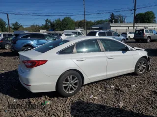 2016 Hyundai Sonata SE with VIN 5NPE24AF1GH359168, listed as a Copart auction lot 54137245 with Not Provided miles and Salvage Title. Bid and sale history available at carsss.com. Image 3.