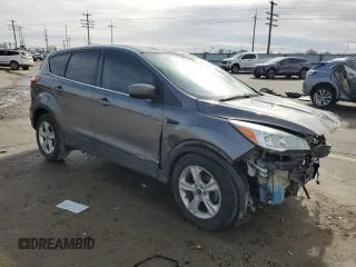 2014 Ford Escape SE with VIN 1FMCU0GX4EUE13796, listed as a Copart auction lot 46366925 with 161,255 mi miles and Salvage Title. Bid and sale history available at carsss.com. Image 4.