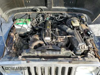 1994 Jeep Wrangler with VIN 1J4FY29S1RP461693, listed as a Copart auction lot 73662974 with 202,452 mi miles and Clean Title. Bid and sale history available at carsss.com. Image 11.