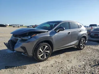 2019 Lexus NX 300 with VIN JTJBARBZ7K2188705, listed as a Copart auction lot 55131045 with 71,737 mi miles and Salvage title. Bid and sale history available at DreamBid. Image 1.
