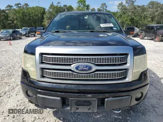 2009 Ford F-150 XL with VIN 1FTPW14V89FB31129, listed as a Copart auction lot 51804665 with 227,851 mi miles and Clean title. Bid and sale history available at DreamBid. Image 5.