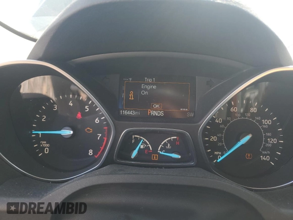 2017 Ford Escape SE with VIN 1FMCU0G95HUF02878, listed as a Copart auction lot 51293845 with 116,443 mi miles and Salvage Title. Bid and sale history available at carsss.com. Image 9.
