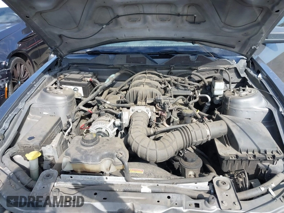 2010 Ford Mustang V6 с VIN 1ZVBP8EN7A5158408, выставлен на аукционе IAAI как лот 41601740 с пробегом 155 641 миль миль и . История ставок и продаж доступна на DreamBid. Изображение 10.