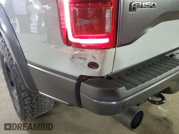 2017 Ford F-150 Raptor with VIN 1FTFW1RG4HFA83875, listed as a Copart auction lot 54001705 with 25,656 mi miles and Salvage Title. Bid and sale history available at carsss.com. Image 12.