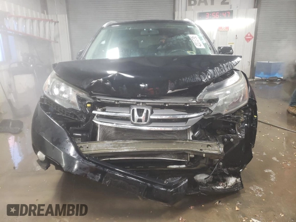 2014 Honda CR-V EX-L with VIN 5J6RM4H72EL055294, listed as a Copart auction lot 42013795 with 125,073 mi miles and Salvage Title. Bid and sale history available at carsss.com. Image 5.