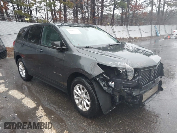2019 Chevrolet Equinox LS with VIN 3GNAXHEV9KS602997, listed as a IAAI auction lot 37881604 with 96,071 mi miles and . Bid and sale history available at carsss.com. Image 1.