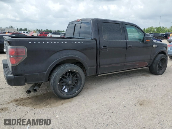 2010 Ford F-150 with VIN 1FTEW1CV2AFA87688, listed as a Copart auction lot 55324715 with 262,569 mi miles and Clean title. Bid and sale history available at DreamBid. Image 3.