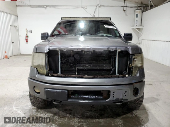 2010 Ford F-150 XL with VIN 1FTFW1EV5AFA74662, listed as a Copart auction lot 48384295 with 234,570 mi miles and Clean Title. Bid and sale history available at carsss.com. Image 5.