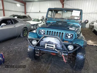 1995 Jeep Wrangler S with VIN 1J4FY19P0SP262341, listed as a IAAI auction lot 41672136 with 161,979 mi miles. Bid and sale history available at carsss.com. Image 6.