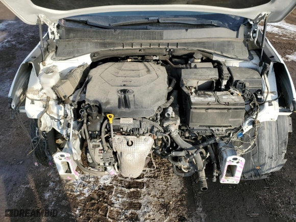 2019 Kia Sorento EX V6 with VIN 5XYPHDA52KG445622, listed as a Copart auction lot 44812945 with 133,296 mi miles and Salvage Title. Bid and sale history available at carsss.com. Image 12.