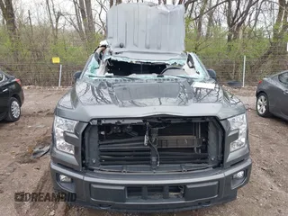 2017 Ford F-150 XL with VIN 1FTEW1EG0HFB78127, listed as a IAAI auction lot 41921032 with Not Provided miles. Bid and sale history available at carsss.com. Image 12.