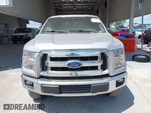 2017 Ford F-150 XL with VIN 1FTEW1EF4HFC38689, listed as a IAAI auction lot 42120928 with 123,310 mi miles. Bid and sale history available at carsss.com. Image 12.