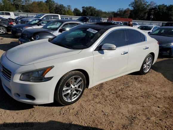 2010 Nissan Maxima 3.5 SV w/Premium Pkg with VIN 1N4AA5AP5AC845541, listed as a Copart auction lot 82057984 with 80,146 mi miles and Salvage Title. Bid and sale history available at carsss.com. Image 1.