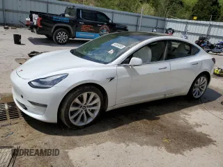 2019 Tesla Model 3 Mid Range with VIN 5YJ3E1EA3KF509087, listed as a Copart auction lot 46364865 with Not Provided miles and Salvage Title. Bid and sale history available at DreamBid. Image 1.