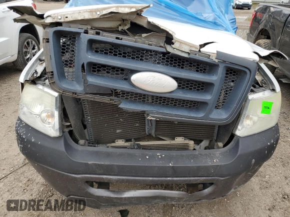 2006 Ford F-150 XL with VIN 1FTPX12V36KD14067, listed as a Copart auction lot 87947545 with 216,700 mi miles and Salvage Title. Bid and sale history available at carsss.com. Image 12.