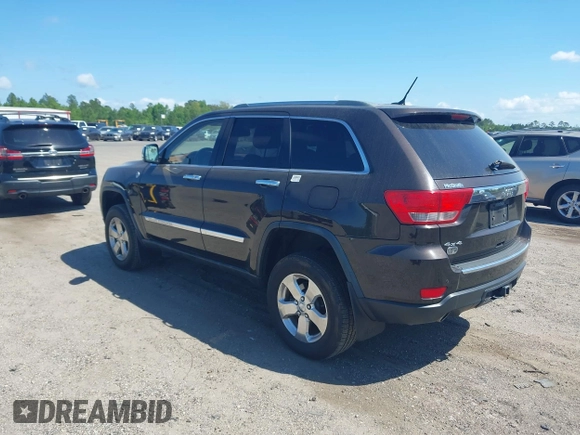 2011 Jeep Grand Cherokee Overland with VIN 1J4RR6GT1BC647292, listed as a IAAI auction lot 42069742 with 199,340 mi miles and . Bid and sale history available at DreamBid. Image 3.