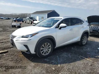 2021 Lexus NX 300 with VIN JTJDARDZ8M5028162, listed as a Copart auction lot 53076465 with 71,055 mi miles and Salvage title. Bid and sale history available at DreamBid. Image 1.