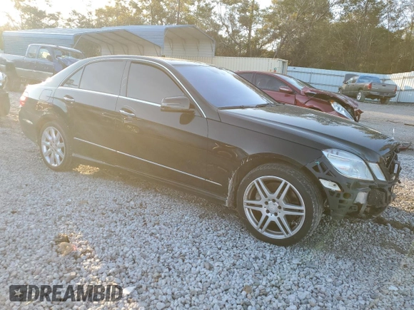 2010 Mercedes-Benz E 550 Luxury with VIN WDDHF7CB1AA212995, listed as a Copart auction lot 78572314 with 171,715 mi miles and Salvage Title. Bid and sale history available at DreamBid. Image 4.