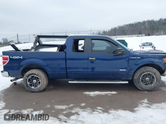 2011 Ford F-150 XL with VIN 1FTFX1ET6BFC39423, listed as a IAAI auction lot 41300035 with 1 mi miles. Bid and sale history available at carsss.com. Image 12.