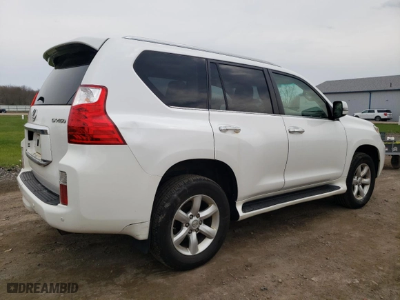 2010 Lexus GX 460 with VIN JTJBM7FXXA5017660, listed as a Copart auction lot 53299545 with 174,766 mi miles and Clean Title. Bid and sale history available at carsss.com. Image 3.