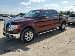 2010 Ford F-150 XL with VIN 1FTEW1C87AFD03660, listed as a Copart auction lot 53925855 with 252,174 mi miles and Clean Title. Bid and sale history available at DreamBid. Image 1.
