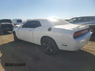 2010 Dodge Challenger R/T z VIN 2B3CJ5DT4AH195370, wystawiony jako Copart lot #76571714 z przebiegiem Nie podano mil oraz Szkoda całkowita • Salvage title. Historia ofert i sprzedaży dostępna na DreamBid. Obrazek 2.