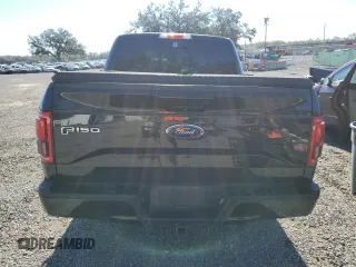 2015 Ford F-150 XLT with VIN 1FTEW1EG2FFB94763, listed as a Copart auction lot 45624385 with 173,654 mi miles and Salvage Title. Bid and sale history available at carsss.com. Image 6.