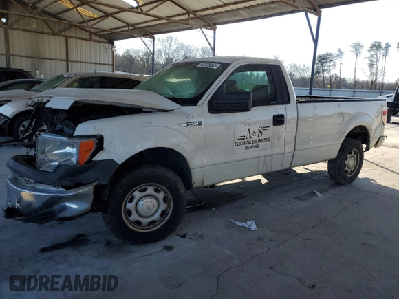 2013 Ford F-150 XL with VIN 1FTNF1CF2DKG13001, listed as a Copart auction lot 42028365 with 224,668 mi miles and Salvage Title. Bid and sale history available at carsss.com. Image 1.