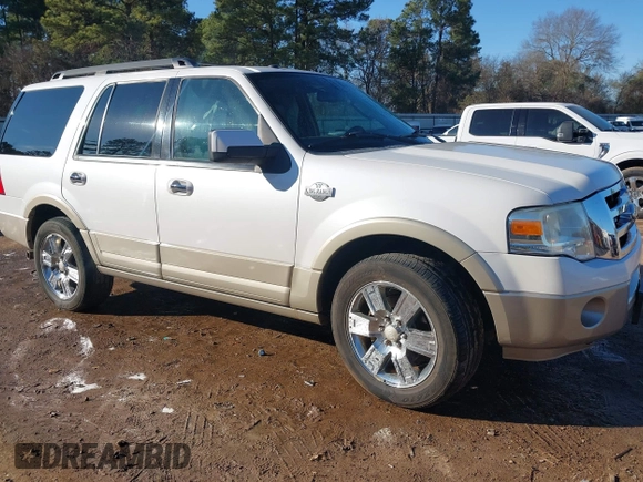 2010 Ford Expedition Eddie Bauer with VIN 1FMJU1H5XAEB21312, listed as a IAAI auction lot 41340462 with 222,850 mi miles and . Bid and sale history available at DreamBid. Image 1.