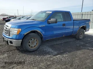 2010 Ford F-150 XL with VIN 1FTFX1EV5AFC99015, listed as a Copart auction lot 48115195 with 156,123 mi miles and Clean Title. Bid and sale history available at carsss.com. Image 1.