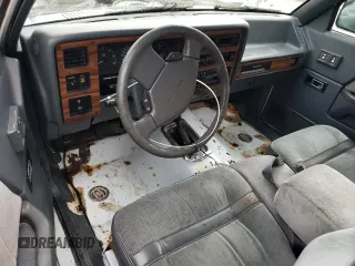 1993 Dodge Dakota with VIN 1B7GG23XXPS129182, listed as a Copart auction lot 88786935 with 176,015 mi miles and Salvage Title. Bid and sale history available at carsss.com. Image 8.