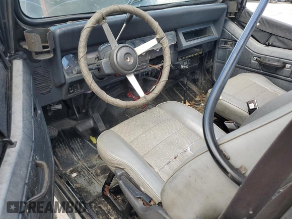 1995 Jeep Wrangler S with VIN 1J4FY19P4SP288991, listed as a Copart auction lot 48858575 with 138,821 mi miles and Salvage Title. Bid and sale history available at carsss.com. Image 8.