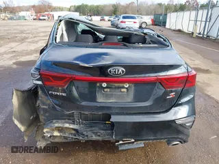 2019 Kia Forte S with VIN 3KPF34AD7KE066484, listed as a IAAI auction lot 41073964 with 118,946 mi miles. Bid and sale history available at carsss.com. Image 16.