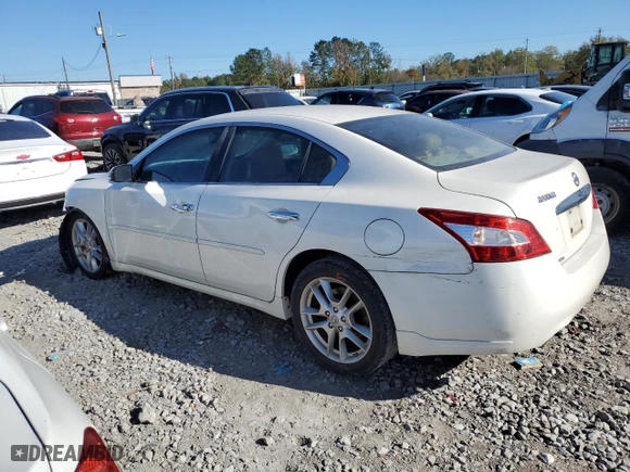 2009 Nissan Maxima 3.5 SV with VIN 1N4AA51E79C819257, listed as a Copart auction lot 82005314 with 196,593 mi miles and Salvage Title. Bid and sale history available at carsss.com. Image 2.