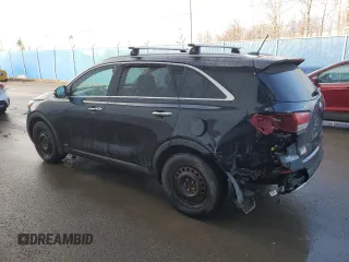 2016 Kia Sorento EX with VIN 5XYPHDA53GG161746, listed as a Copart auction lot 50689665 with 164,157 mi miles and Salvage Title. Bid and sale history available at carsss.com. Image 2.