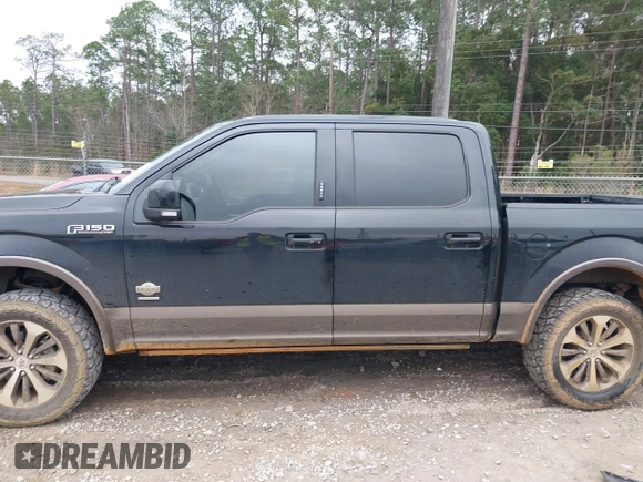 2016 Ford F-150 XLT with VIN 1FTEW1EG1GFC00604, listed as a IAAI auction lot 41519752 with 120,834 mi miles. Bid and sale history available at carsss.com. Image 14.