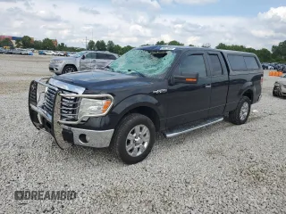2010 Ford F-150 XL with VIN 1FTEX1C88AFB54494, listed as a Copart auction lot 59971055 with 179,822 mi miles and Salvage title. Bid and sale history available at DreamBid. Image 1.