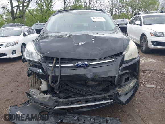 2013 Ford Escape SE with VIN 1FMCU0GX6DUC98598, listed as a IAAI auction lot 42133641 with 174,111 mi miles and . Bid and sale history available at DreamBid. Image 12.