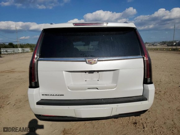 2020 Cadillac Escalade Premium Luxury with VIN 1GYS4CKJ1LR156921, listed as a Copart auction lot 79101074 with 80,991 mi miles and Salvage Title. Bid and sale history available at carsss.com. Image 6.