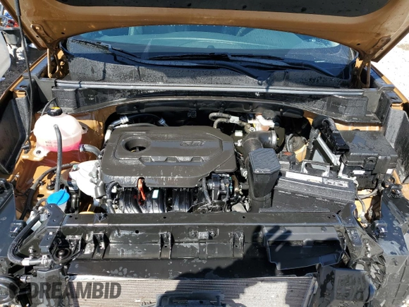 2021 Kia Sportage EX with VIN KNDPNCAC2M7924768, listed as a Copart auction lot 57914625 with 25,798 mi miles and Salvage title. Bid and sale history available at DreamBid. Image 11.
