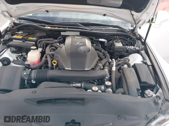 2019 Lexus IS 300 with VIN JTHBA1D28K5099436, listed as a IAAI auction lot 42217659 with 73,888 mi miles and . Bid and sale history available at DreamBid. Image 10.