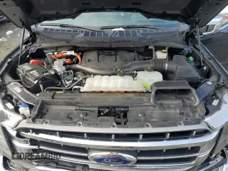 2023 Ford F-150 XL with VIN 1FTFW1ED7PFA06556, listed as a Copart auction lot 45241085 with 51,075 mi miles and Salvage Title. Bid and sale history available at carsss.com. Image 13.