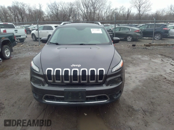 2016 Jeep Cherokee Limited with VIN 1C4PJMDSXGW121091, listed as a IAAI auction lot 41733807 with 196,455 mi miles and . Bid and sale history available at DreamBid. Image 12.